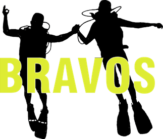 Bravos vzw